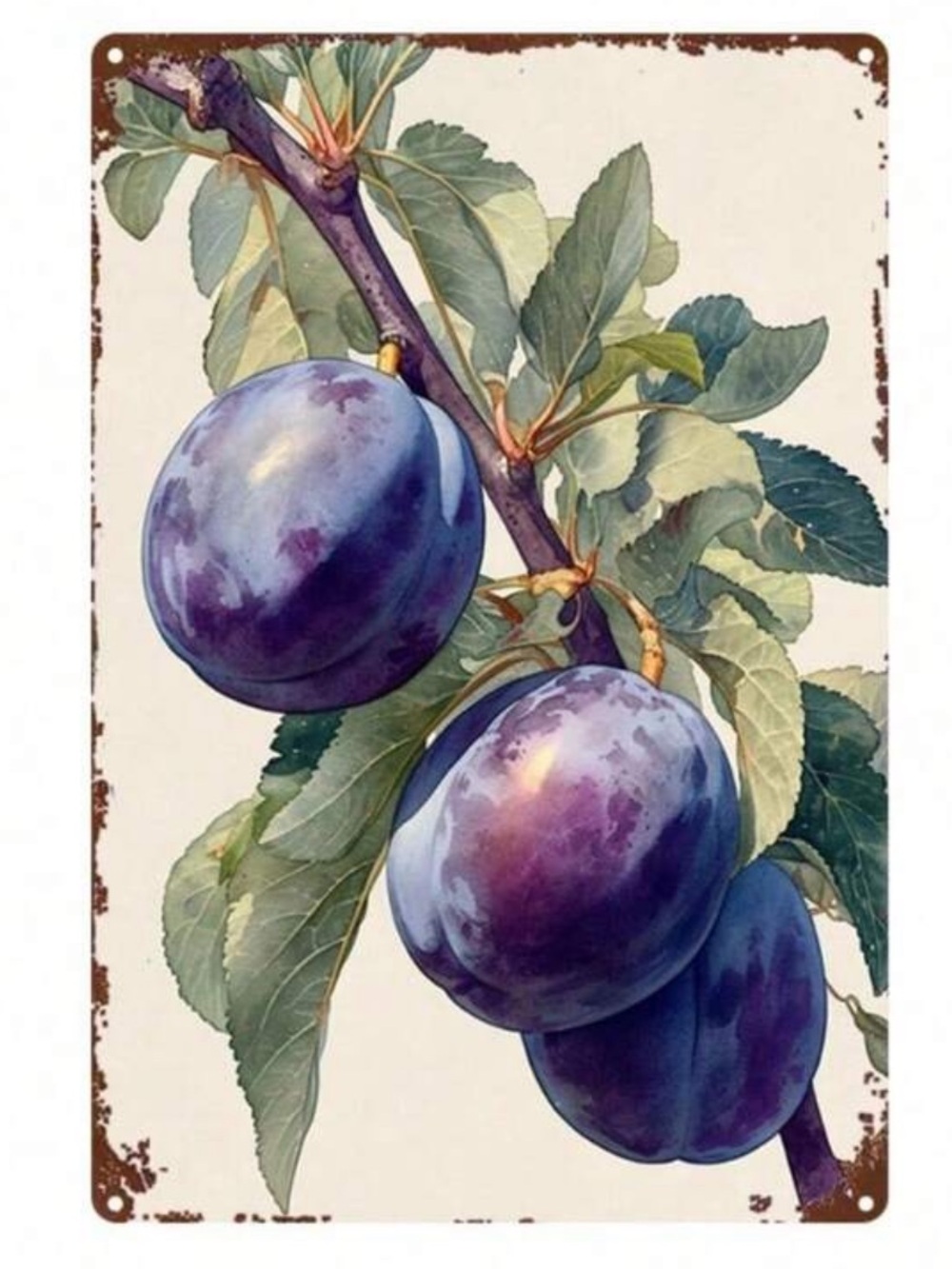 Vintage Botanical Plum Wall Art Decor NEW 🏷️